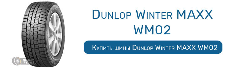 Dunlop Winter MAXX WM02