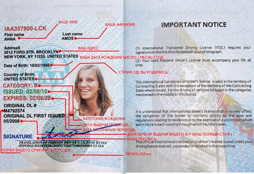 International driver license