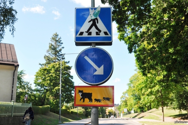 Знак особых предписаний о переходящих дорогу кошках